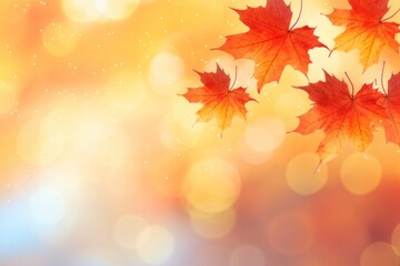 Canvas Print - Red and yellow maple leaves backgrounds sunlight autumn.