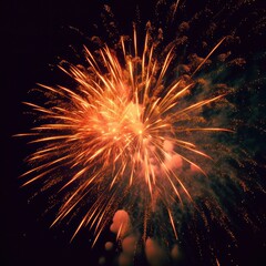 Poster - Fireworks Display in Night Sky