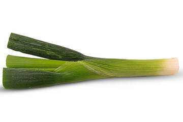 Green onion isolated 