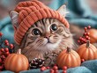 © pisan - Adorable Cat Wearing Tiny Pumpkin Hat Surrounded by Festive Fall Decor, Perfect for Thanksgiving and Halloween Greetings