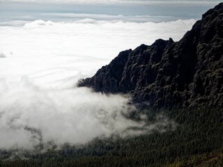 Poster - Mountain landscape with forest and clouds