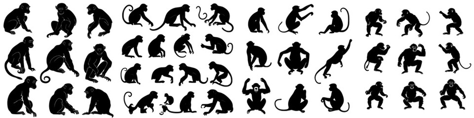 Collection of silhouettes of monkeys. Modern illustration with isolated primates.