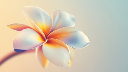 A tropical plumeria flower with bright white and yellow petals, floating against a pale pastel background