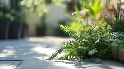 Sticker - Lush green ferns and small white flowers in a garden setting.