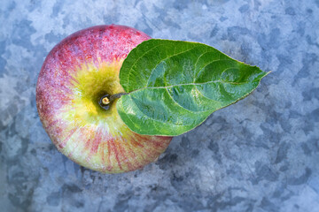 Poster - Closeup of a cortland apple with leaf on a metal farm table