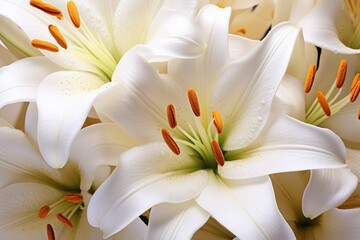 Canvas Print - White lily flower backgrounds petal.