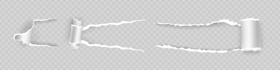 Fototapete - Torn page piece with rip edges and holes. Vector isolated set of scratch claws, curls of blank sheet. Typography or graphics design, grunge and old vintage message. Realistic texture or borders