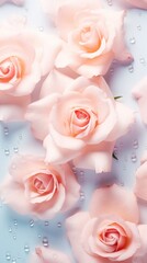 Canvas Print - Blurred roses backgrounds flower petal.