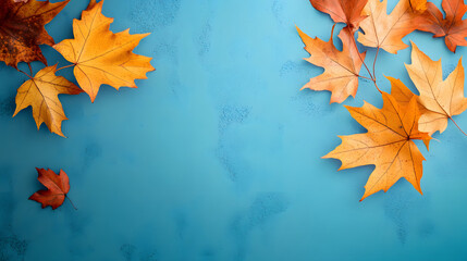 Wall Mural - Yellow and orange fallen maple leaves on blue background. Abstract autumn natural backdrop. Fall season