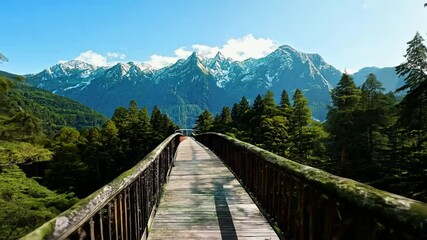 Wall Mural - Wooden walkway bridge over forest with mountain and blue sky in the background, on a sunny day