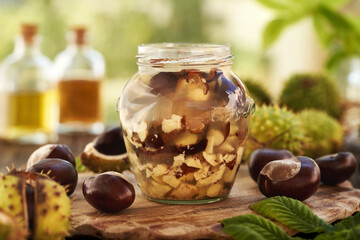 Sticker - Preparation of homemade herbal tincture from horse chestnuts in a glass jar