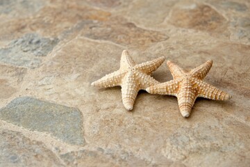 Two starfish on sandy rock surface