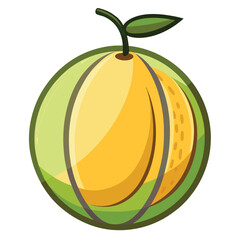 Honeydew fruit vector illustration on white background.