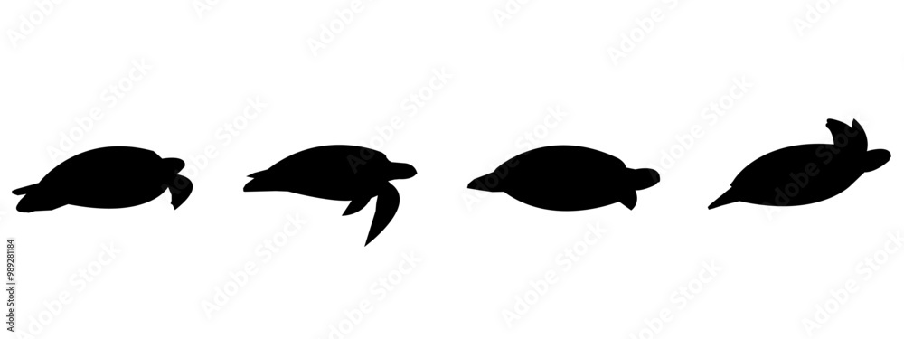 Set of swimming turtle silhouettes isolated on white background ...