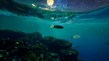 Wall Mural - underwater world with a view of space and the moon