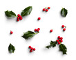 © Custom Scene - Set of Holly Leaves and Berries