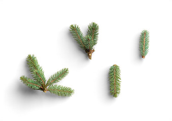 set of fir sprigs with green needles for winter decor