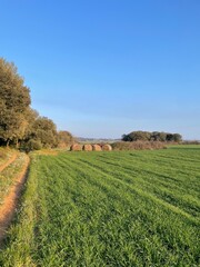 Spanish countryside