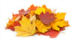 © Silard - Vibrant Pile of Autumn-Colored Leaves on Solid White Background for Seasonal Decor and Nature-Inspired Designs