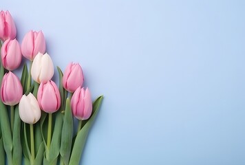 Wall Mural - pastel pink & blue tulips flat lay background
