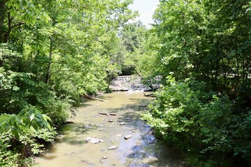 The quiet flowing brook in the forest on a sunny day.