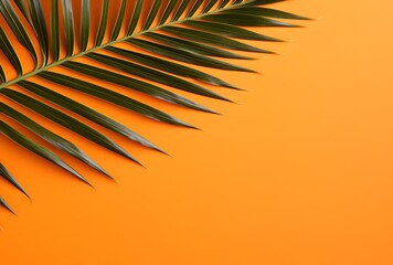 Wall Mural - Palm Leaf Branch on Orange Background