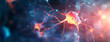 © Prasanth - Neurons and nervous system. Nerve cells background with copy space (3d microbiology render banner)