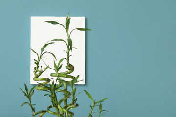 Wall Mural - Green bamboo stems and poster on color background