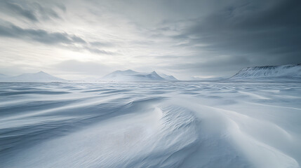 A windswept snowy plain stretching out toward distant mountains with snow drifts creating soft waves across the landscape under a cloudy winter sky.