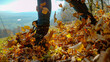 © helivideo - CLOSE UP: Unrecognizable woman wearing boots kicks up the autumn fallen leaves during a relaxing hike in the colorful countryside. Young female hiker walks across a pile of turning leaves on sunny day