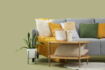 Wall Mural - Grey sofa with table and plant on green background