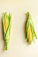 Wall Mural - Two fresh yellow corns on the cob, top view. Vegetable background