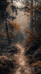 Poster - Enchanted Forest Path: A Mystical Autumn Landscape