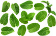 © LAYER-LAB - Mint leaves collection - Ready to use Premium PNG Cutout isolated image.