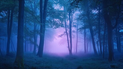 Sticker - A misty forest scene with ethereal blue and purple hues, creating a tranquil atmosphere.