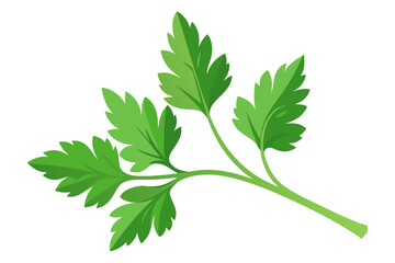 Wall Mural - Parsley Vector Art (Karpas) High-Quality Illustrations for Design Projects