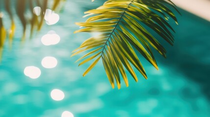 Palm leaves gently sway above the sparkling pool water, reflecting sunlight in a tranquil and inviting atmosphere