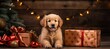 © Maksym - A cheerful golden retriever puppy surrounded by festive gifts and decorations during the holidays