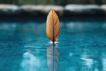 Canvas Print - Delicate feather floating on tranquil water