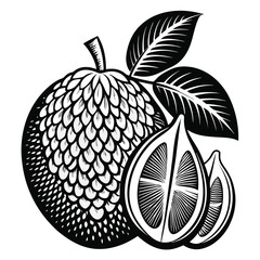 Jackfruit silhouette vector icon, illustration on white background. Tropical fruit in flat style.