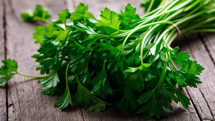 Canvas Print - Fresh parsley bunch with crisp green stems closeup