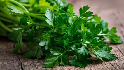 Canvas Print - Fresh parsley leaves with aromatic stems closeup