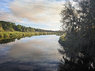 Smooth water with green trees in Florida State Park