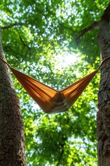 Low-angle view of a tree with a hammock tied between two of its trunks