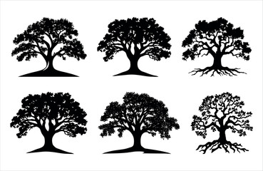 High quality oak tree silhouette vector isolated on white. nature. black color tree icon, copy space. 