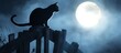 ©  Ahmad hussain joni - A black cat silhouette perched on a crooked wooden fence backlit by a full moon with fog swirling around