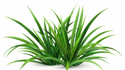 Poster - A vibrant, lush green bush of phalaris arundinacea grass stands out against a pure white background, showcasing its texture and form.