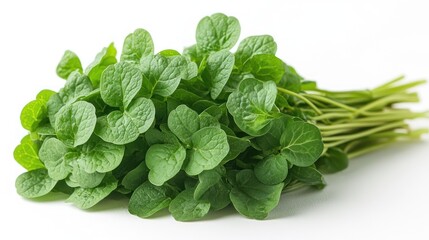 Wall Mural - Fresh Green Watercress Bunch