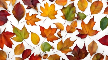 Canvas Print - fallen leaf