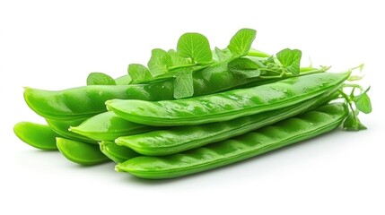 Sticker - Fresh Green Peas with Leaves